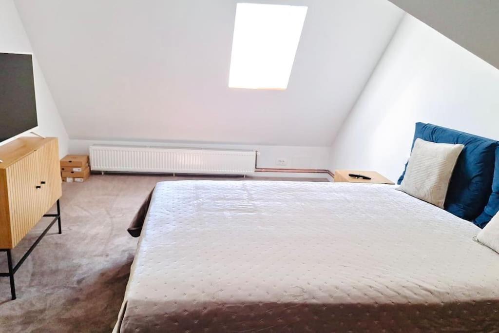 Villa Pineview Lempes Braşov Esterno foto