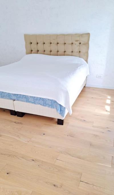 Villa Pineview Lempes Braşov Esterno foto