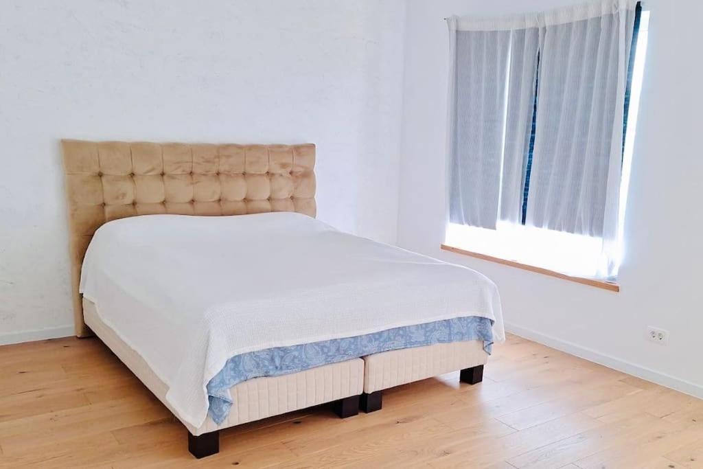 Villa Pineview Lempes Braşov Esterno foto