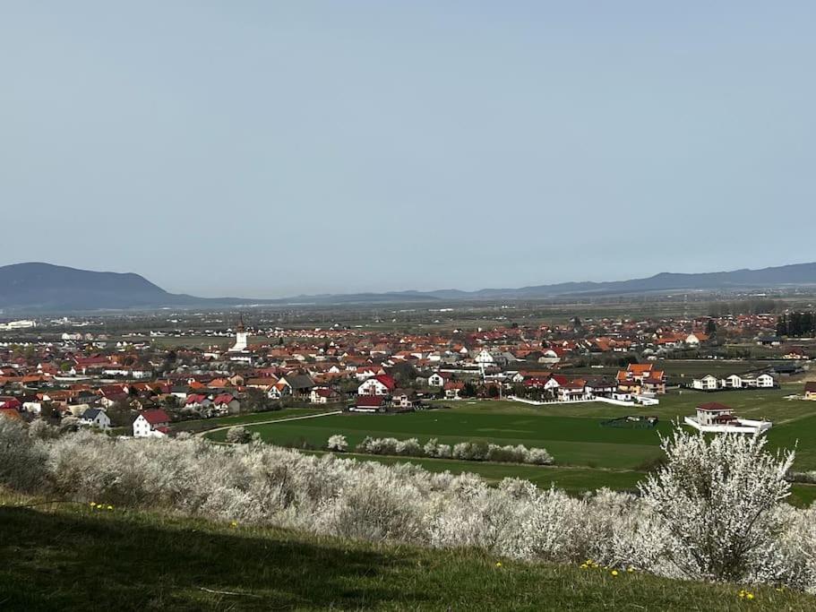 Villa Pineview Lempes Braşov Esterno foto